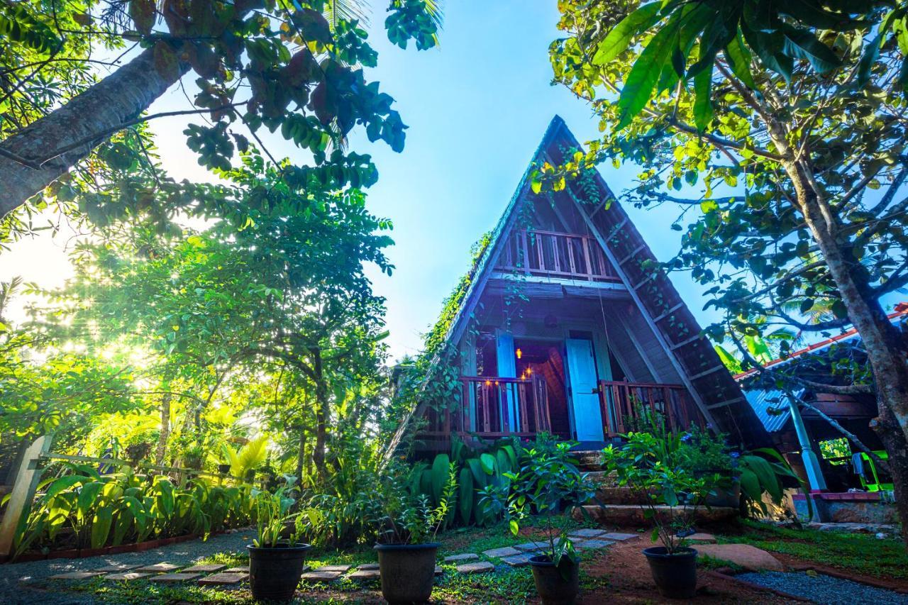 Villa Ovita 陶尔佩 外观 照片