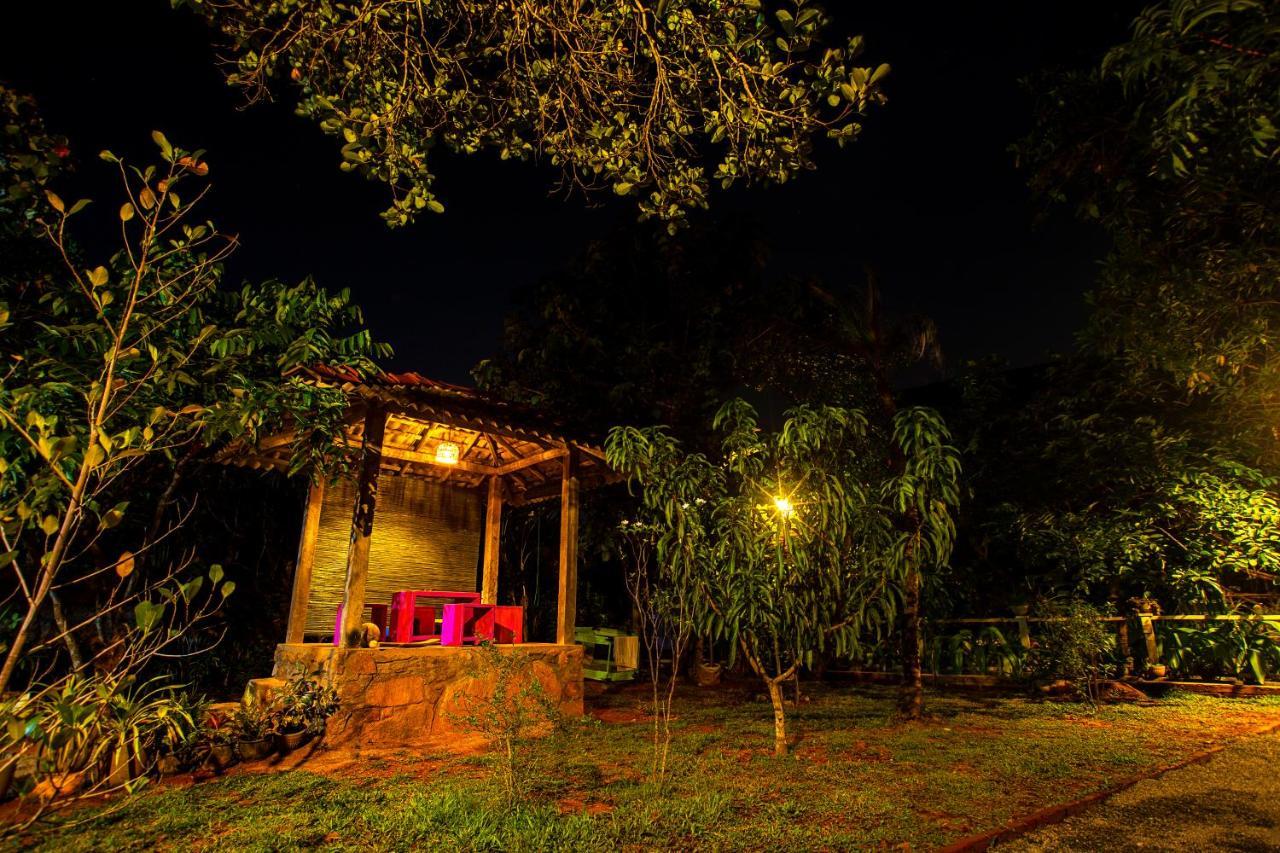 Villa Ovita 陶尔佩 外观 照片