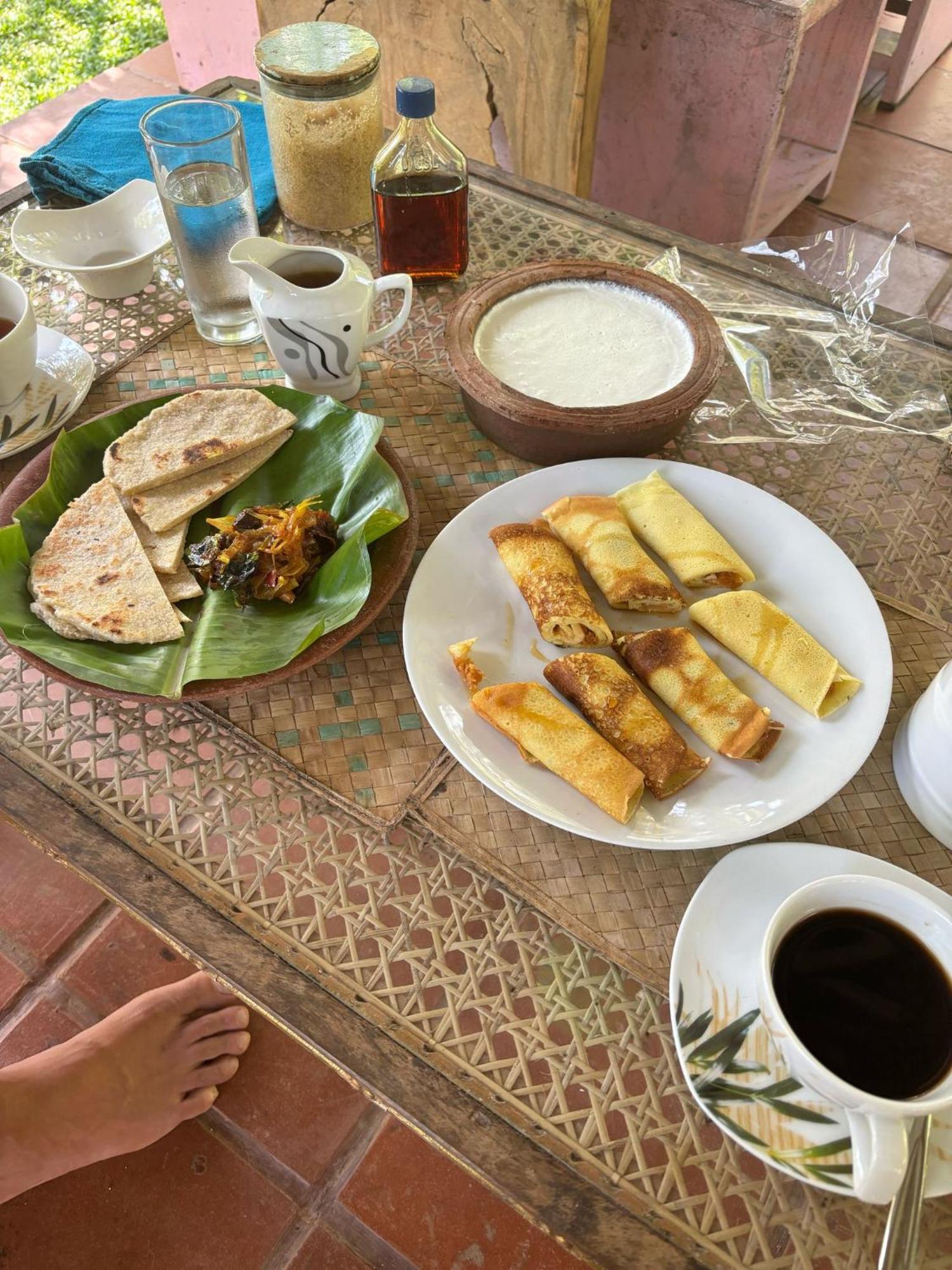 Villa Ovita 陶尔佩 外观 照片