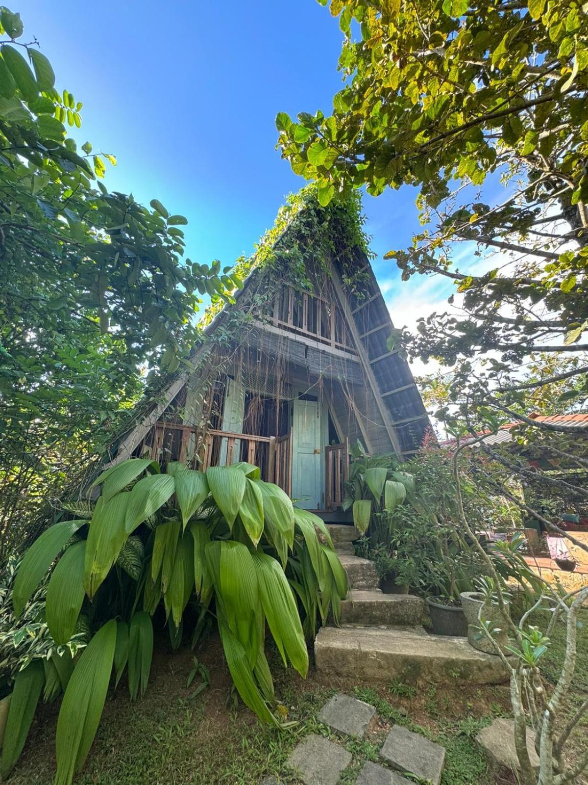 Villa Ovita 陶尔佩 外观 照片