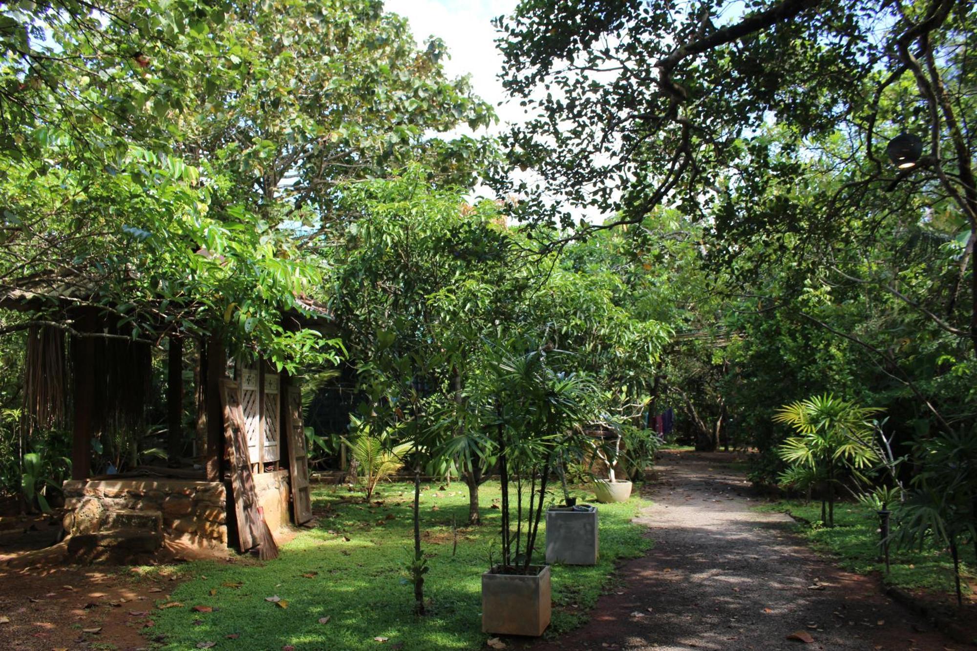 Villa Ovita 陶尔佩 外观 照片