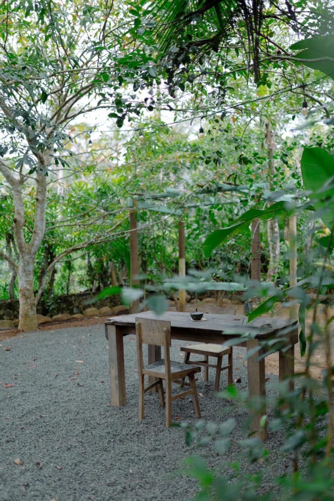 Villa Ovita 陶尔佩 外观 照片